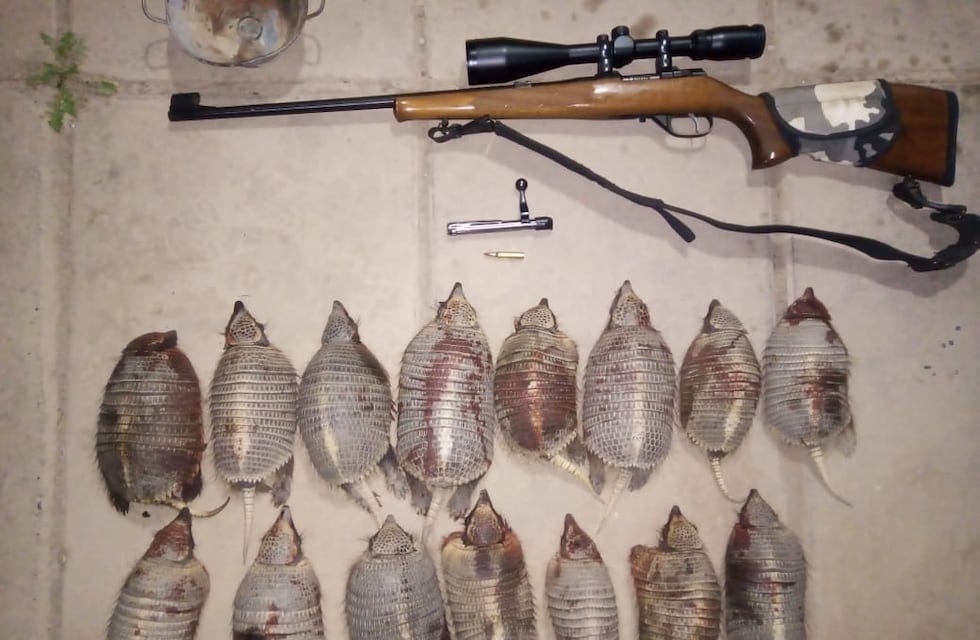 Detuvieron a tres cazadores furtivos que tenían guardados en sus pertenencias 15 piches