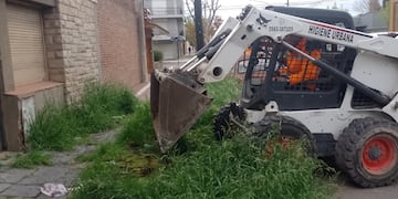 Trabajos semanales de la Coordinación de Higiene Urbana de Tres Arroyos