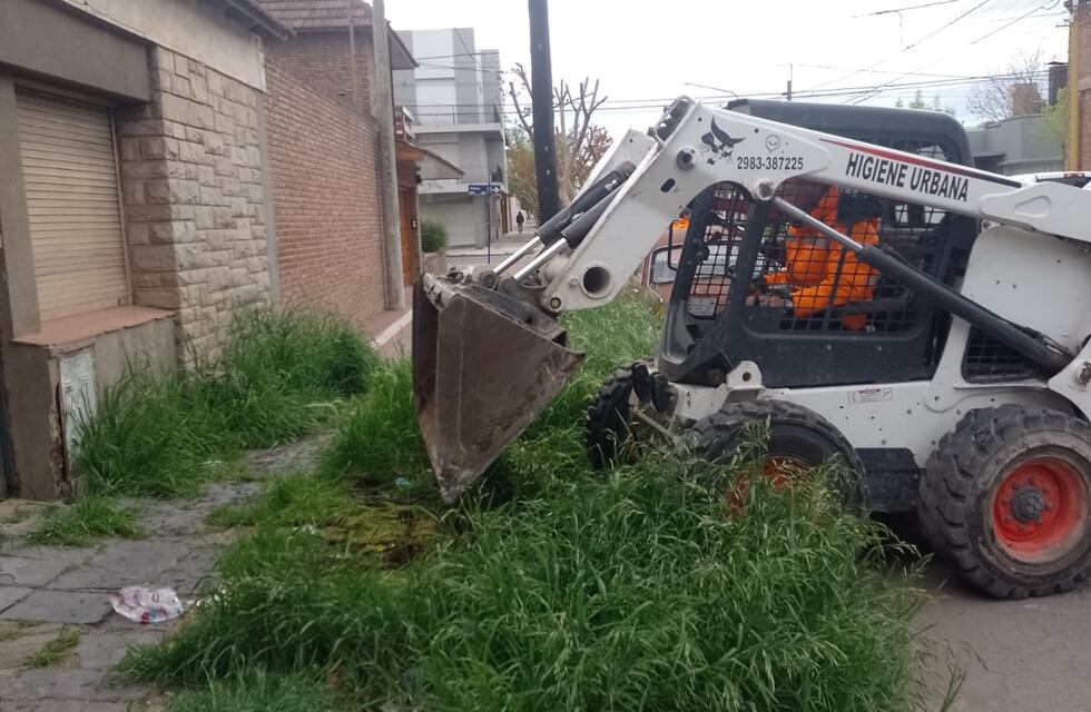 Trabajos semanales de la Coordinación de Higiene Urbana de Tres Arroyos