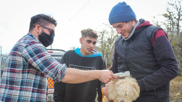 Personal de zoonosis recorre los distintos barrios en cumplimiento de la Ordenanza Municipal N° 365/13