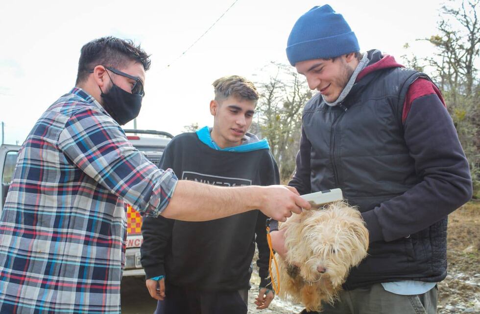 Tolhuin: se realizan controles de animales sueltos