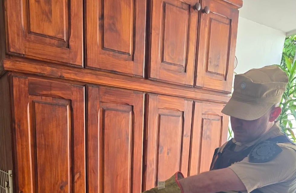 Abrió un armario y encontró un inesperado animal con sus crías en Córdoba