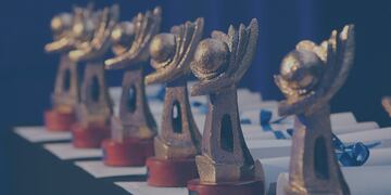 El galardón es otorgado por el Consejo Empresario Mendocino (CEM).