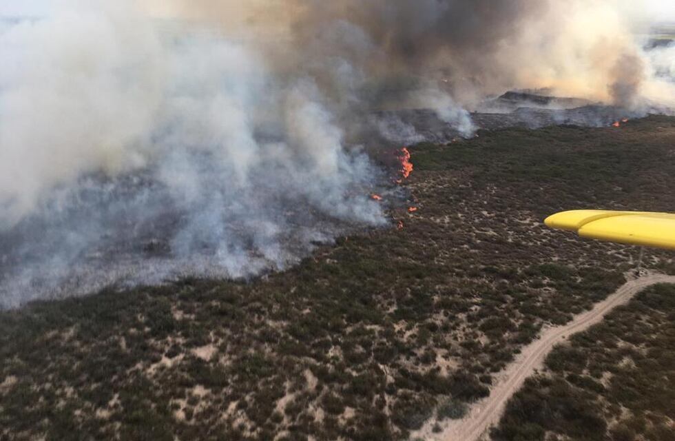 Combaten importante incendio de campos en Zapata
