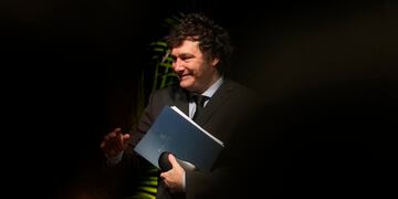 Javier Milei viaja a Estados Unidos. (AP Foto/Lynne Sladky)