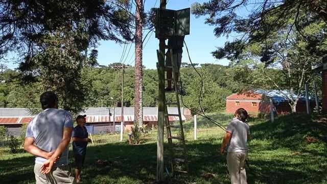 Realizan reposición de cableado eléctrico en una escuela de San Pedro.