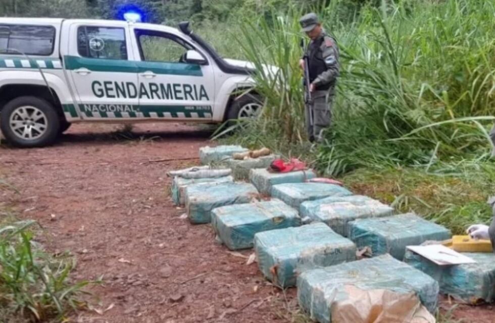 Secuestran contrabando de droga en Colonia Delicia