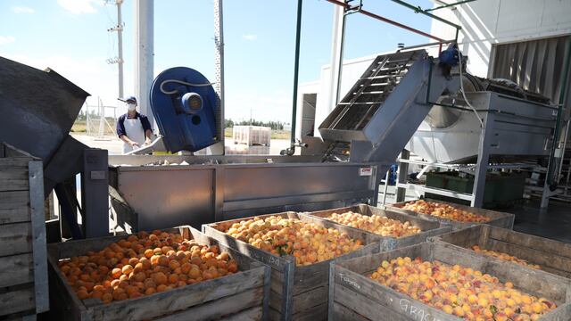 Pulpera de Cuadro Nacional en San Rafael.