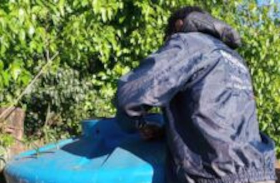 Continúan realizando control de vectores en barrios de Eldorado