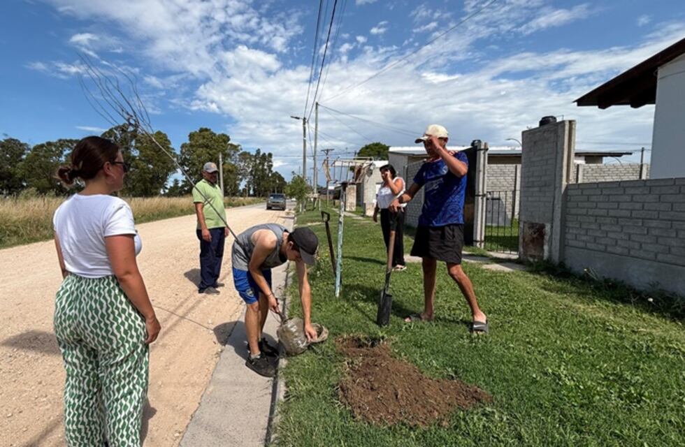 Forestación en el distrito de Gonzales Chaves
