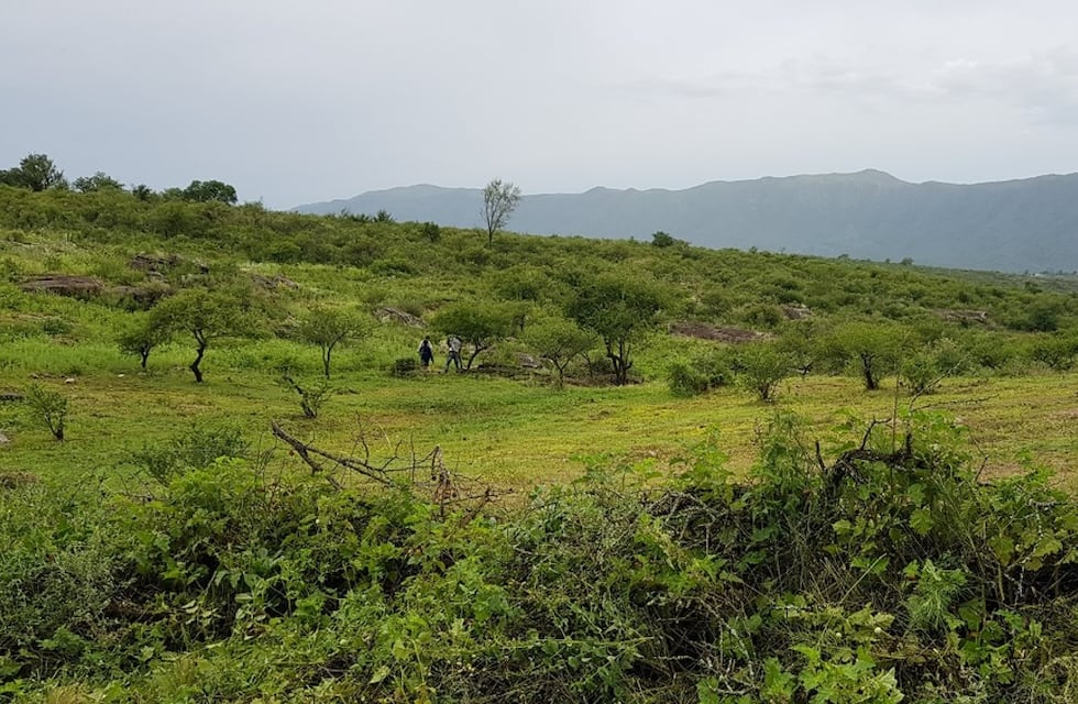Subastan 11 terrenos en zonas turísticas de Córdoba