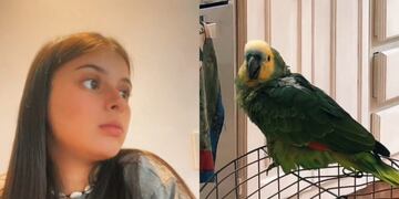 Ella intentaba grabar un audio pero su loro no la dejaba y tuvieron una insólita "discusión". (Captura)