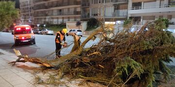 Se produjeron algunos inconvenientes con empalizadas de obras producto de los fuertes vientos