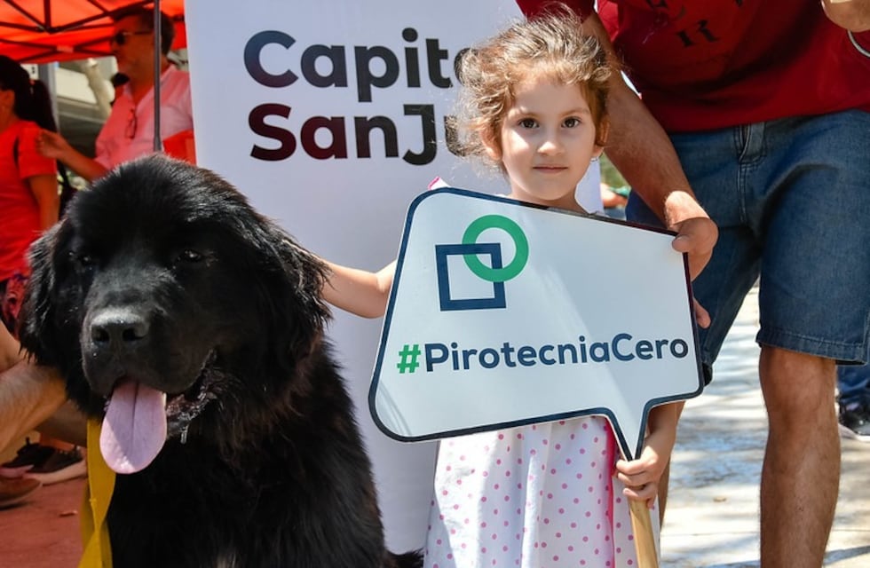 El Municipio lanzó una campaña de concientización para no utilizar pirotecnia