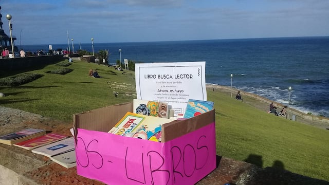 Desde hace cuatro años, la ONG Casa de 20 realiza una “Siembra de Libros”, pero ¿de qué se trata? Y ¿Cómo se puede formar parte de la iniciativa?