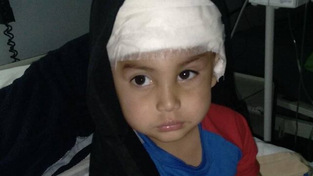 El pequeño se recupera en el Hospital Guillermo Rawson.