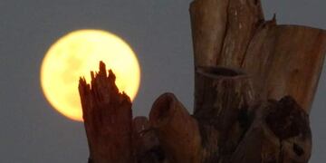 Luna llena en San Luis.