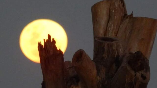 Luna llena en San Luis.