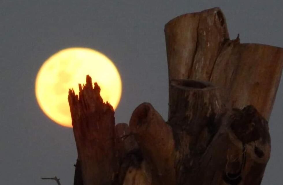 Espectáculo natural: una enorme luna llena sorprendió a los sanluiseños y las redes se inundaron de fotografías