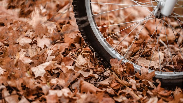 El hombre de 88 años salió con su bicicleta y murió tras ser atropellado.