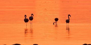 Los atardeceres sobre el mar de Ansenuza son únicos en Argentina.