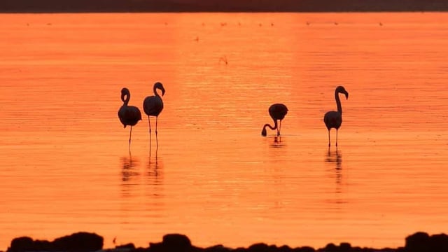 Los atardeceres sobre el mar de Ansenuza son únicos en Argentina.