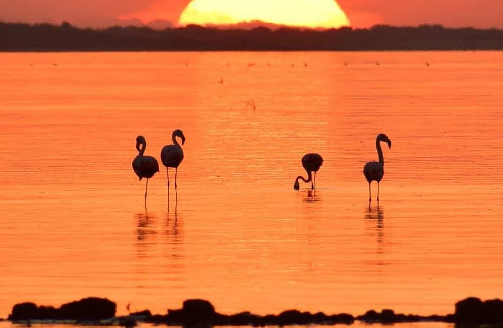 Clima en Ansenuza: cómo estará el tiempo para este miércoles 28 de abril