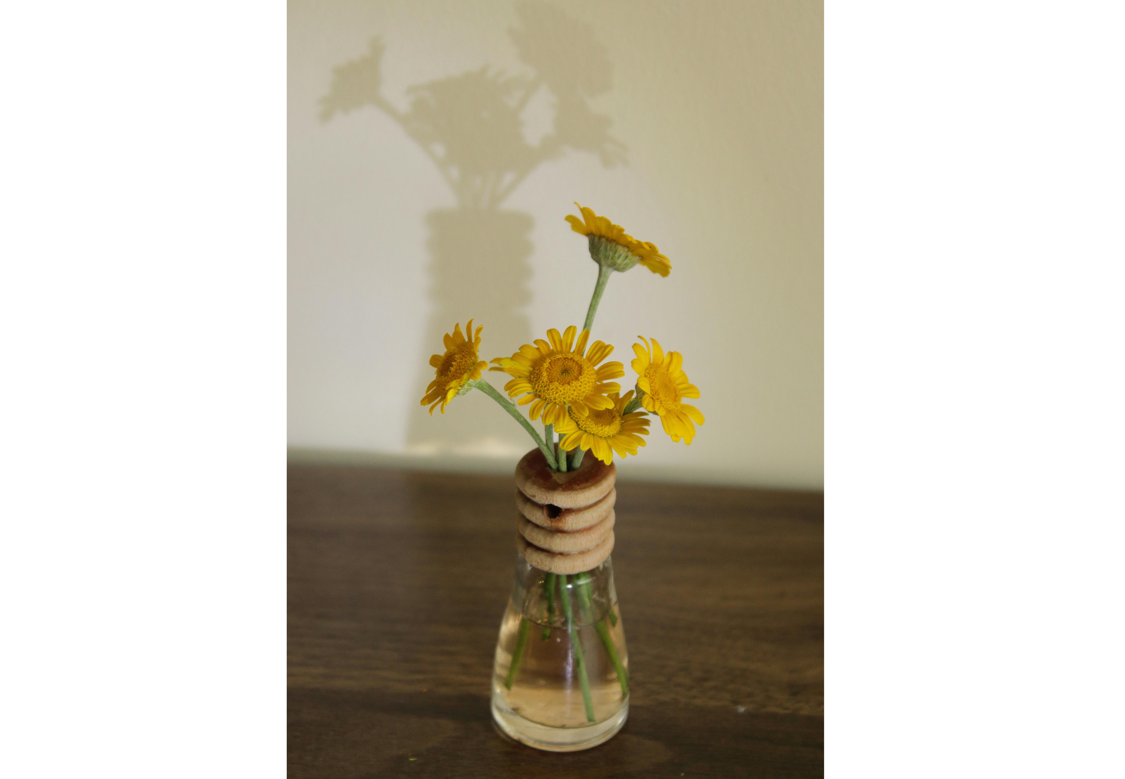 Las flores amarillas son una buena opción para el hogar.