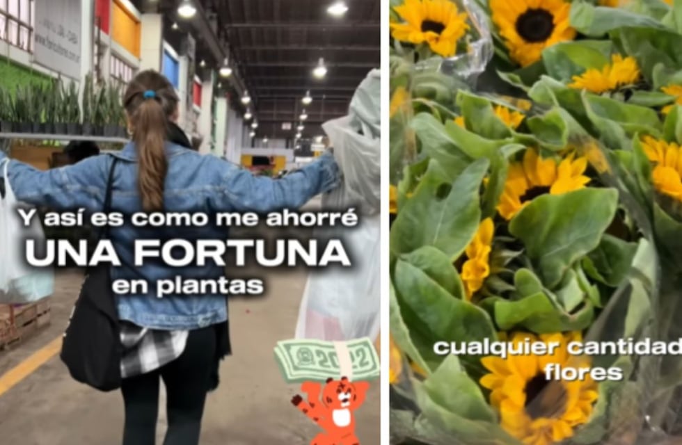 Fue al Mercado de las Flores, compró de todo y se ahorró una fortuna en plantas