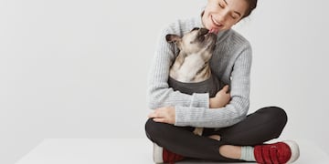 ¿Vestir a tu perro en invierno es una exageración o de verdad lo necesita? Esto dicen los expertos