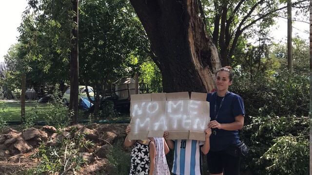 Masacre de árboles en Luján