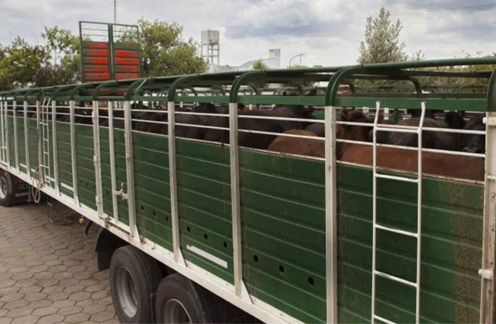 Encontraron sin vida a un camionero a la vera de la Ruta 146