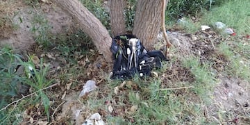 La estatua de San La Muerte apareció decapitada de un día para otro.
