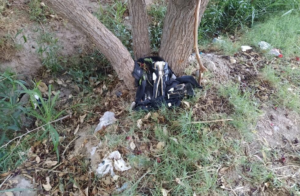 Misterio por un posible ritual de magia negra en Albardón