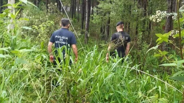 El muchacho se dirigía a un sector de chacra cuando recibió la descarga del cable de alta tensión.