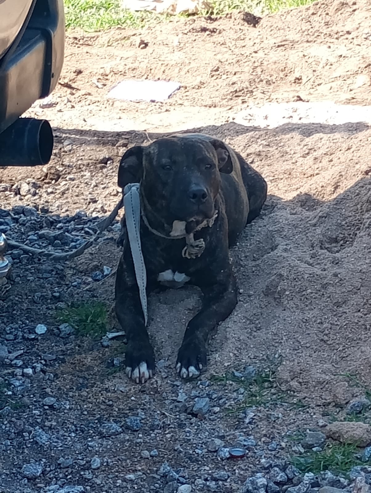 Debido a las lesiones que presentaba, el hombre quedó internado.