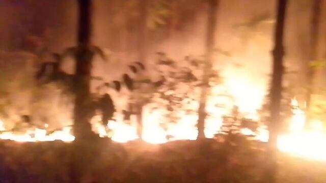 Eldorado: Bomberos debieron sofocar un foco ígneo en un pinar.