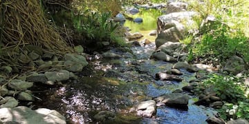 Reserva Vaquería: uno de los espacios naturales protegidos en Córdoba. (AP/Archivo)