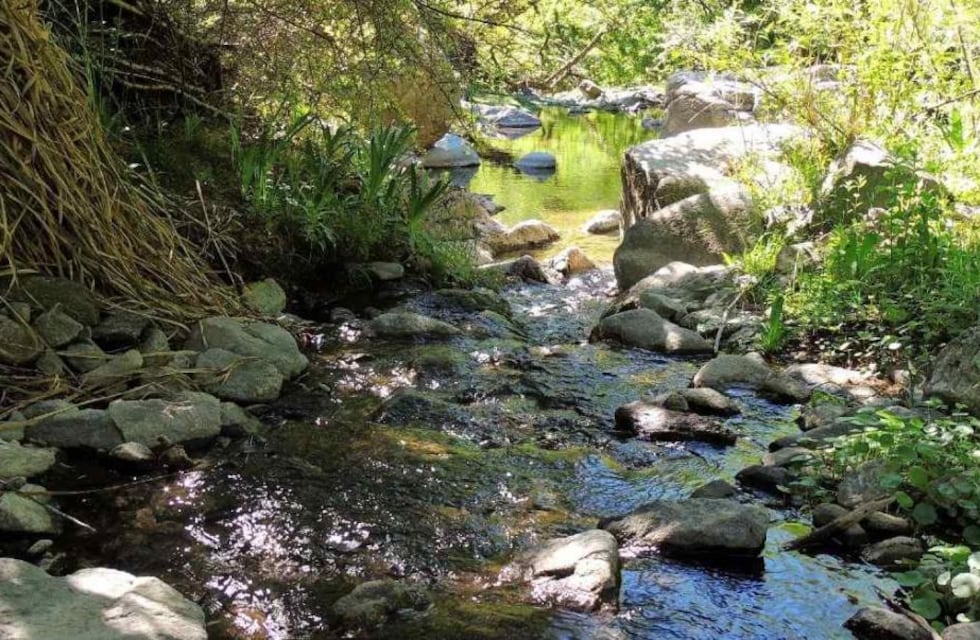 Reserva Natural Vaquerías: un rincón escondido en el Valle de Punilla