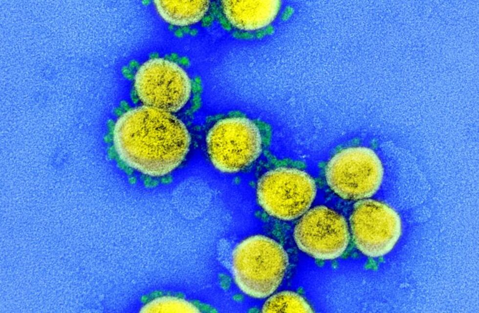 La velocidad de contagios de coronavirus en San Juan creció un 35% en la última semana
