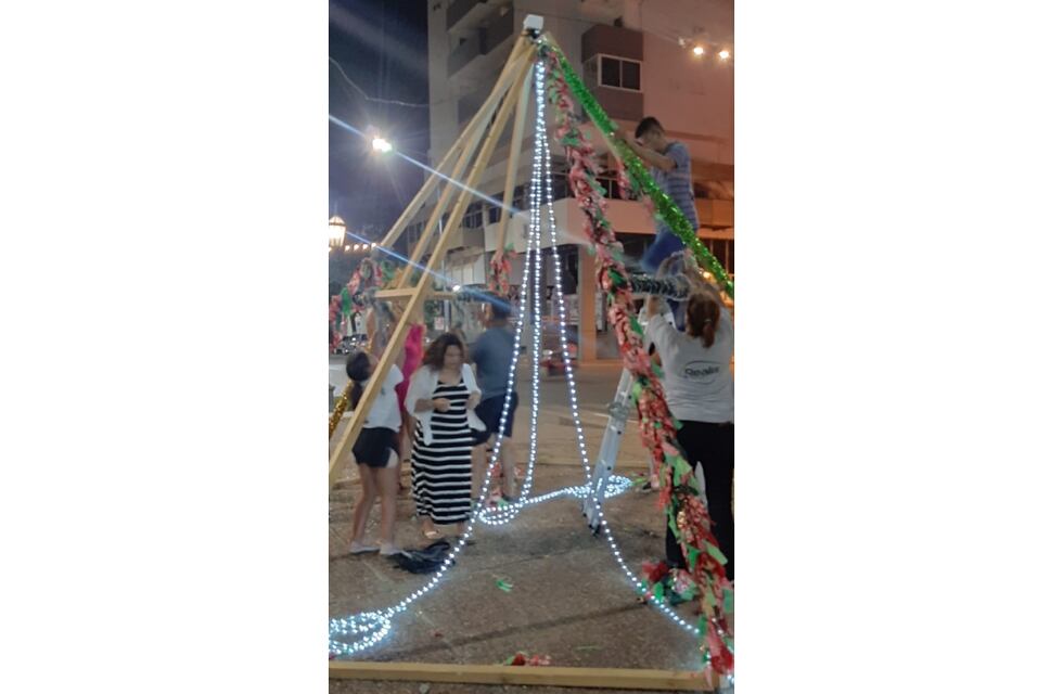Viral: vecinos intervinieron el polémico arbolito del centro