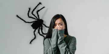 ¿Una traición? Qué significa soñar con arañas.