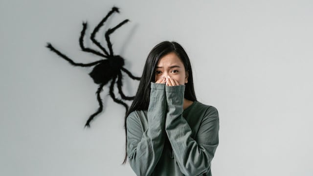 ¿Una traición? Qué significa soñar con arañas.