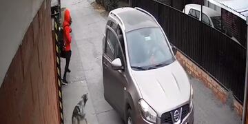 Captura de video del perro que salvó a la adolescente de los dos hombres. Foto: Video @jackoprou2