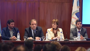 En a presentación del informe del MPD, de izquierda a derecha Santiago Jubert, Alberto Bernis, Gabriela Burgos y Guido Matías Luna.