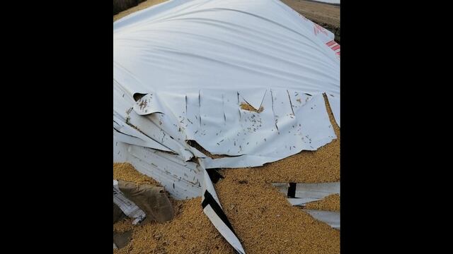 El ataque fue un campo de la localidad de Buchardo.