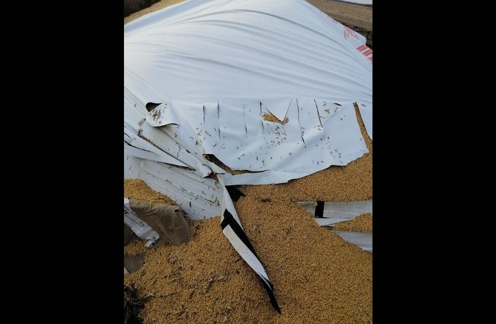 Importante robo de soja, en el sur de Córdoba