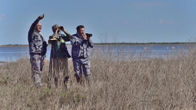 Miramar de Ansenuza: un Aguará Guazú en la desembocadura del Rio Plujunta