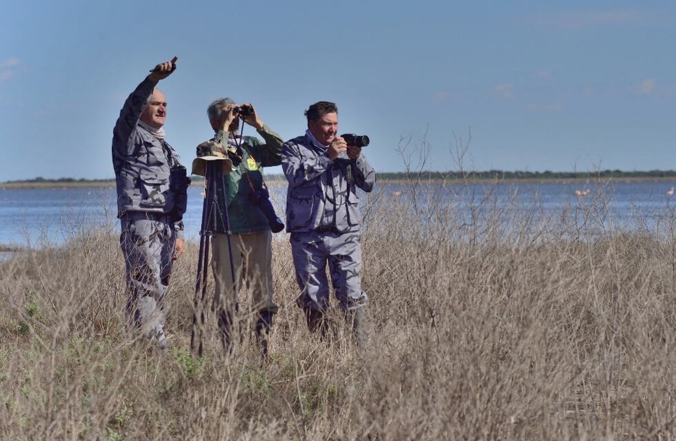 Miramar de Ansenuza: un Aguará Guazú en la desembocadura del Rio Plujunta