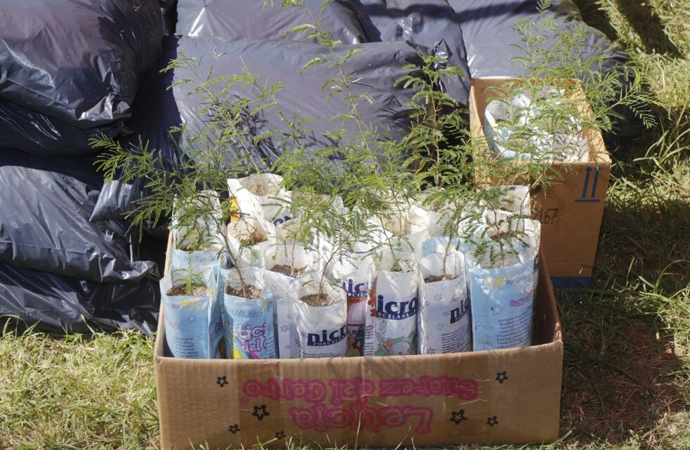 Habrá talleres de compostaje y eco canje por el “Día del reciclaje”